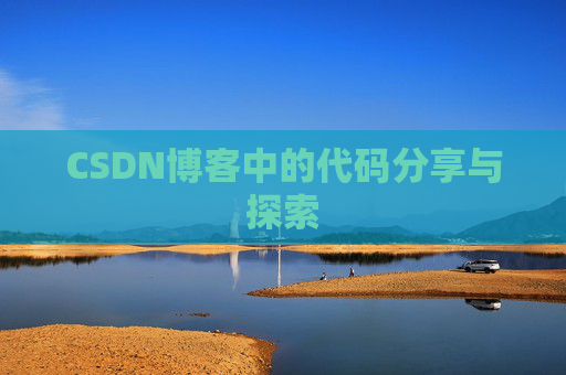 CSDN博客中的代码分享与探索